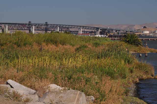 Benicia-Martinez Bridge
